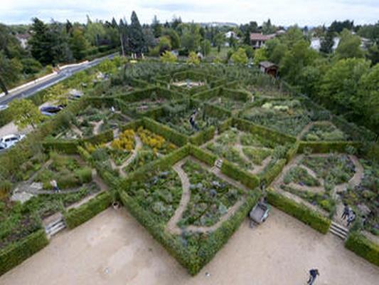 JARDIN DU CHATEAU DE SAINT-BERNARD