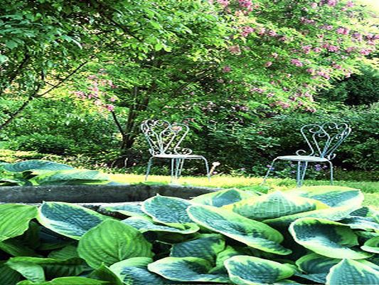 LES JARDINS DE VIELS-MAISONS