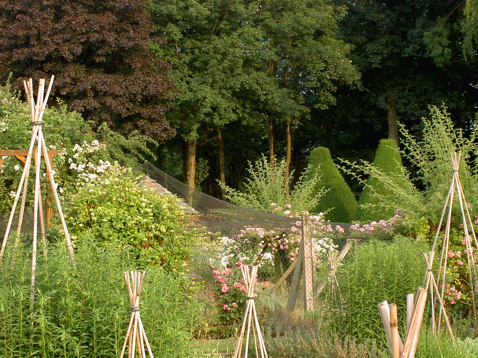 PARC ET JARDIN DE BOSMONT