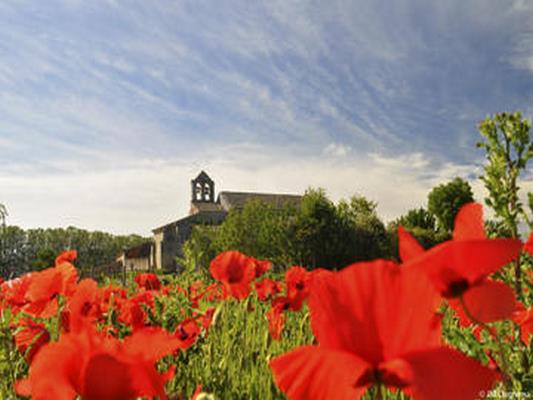 JARDINS DU PRIEURE DE SALAGON