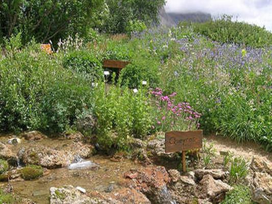 JARDIN ALPIN DU LAUTARET