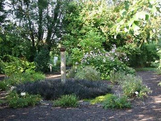 JARDIN BOTANIQUE DE MARNAY-SUR-SEINE