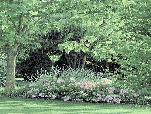 LES JARDINS DU CHAIGNE