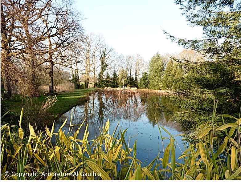 ARBORETUM AL GAULHIA
