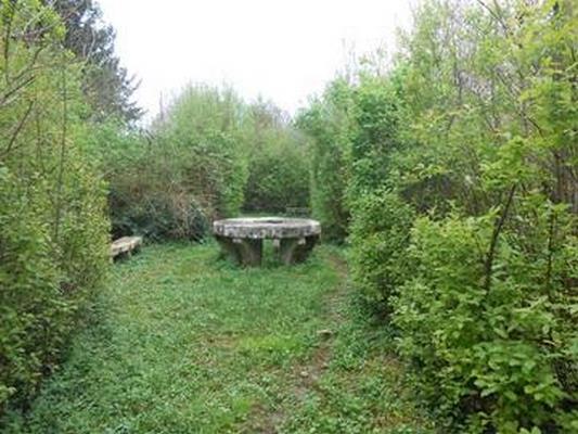 PARC DU CHATEAU FONTAINE-FRANCAISE