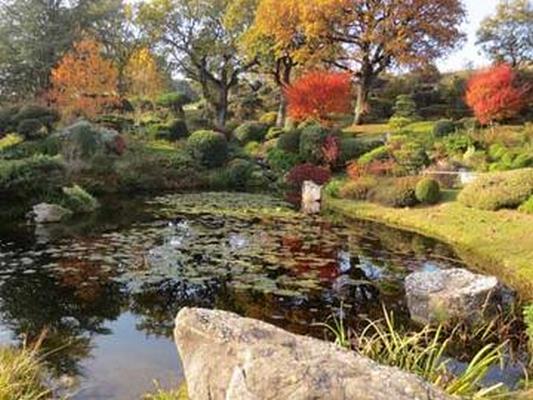 JARDIN ZEN D’ERIK BORJA