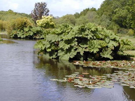 PARC DE CORNOUAILLE