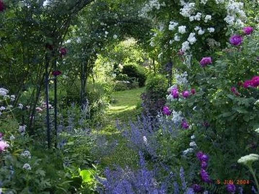 JARDIN DU MAS DE L’ABRI