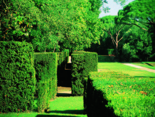 PARC DU CHATEAU DE MERVILLE