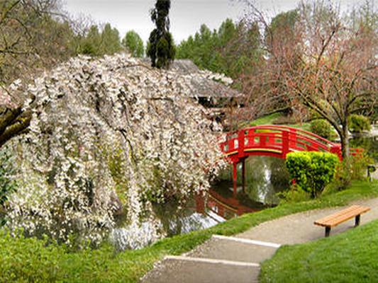 JARDIN JAPONAIS DE COMPANS-CAFARELLI