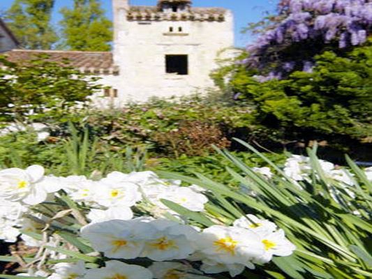 LES JARDINS DE COURSIANA