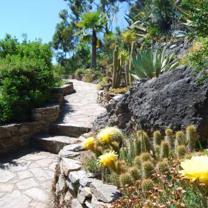 JARDIN MÉDITERRANÉEN DE ROQUEBRUN	
