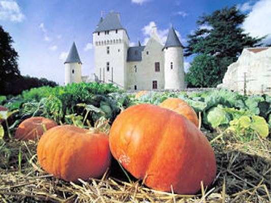 LES JARDINS DU CHATEAU DE RIVAU 