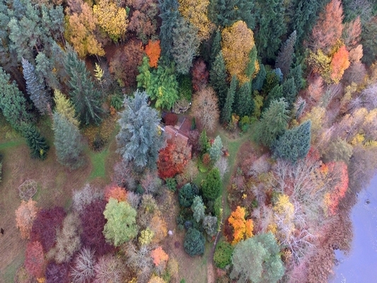 L 'ARBORETUM DE LA MARTINIERE