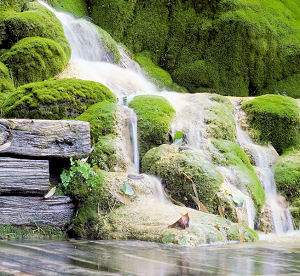 JARDIN DES FONTAINES PETRIFIANTES