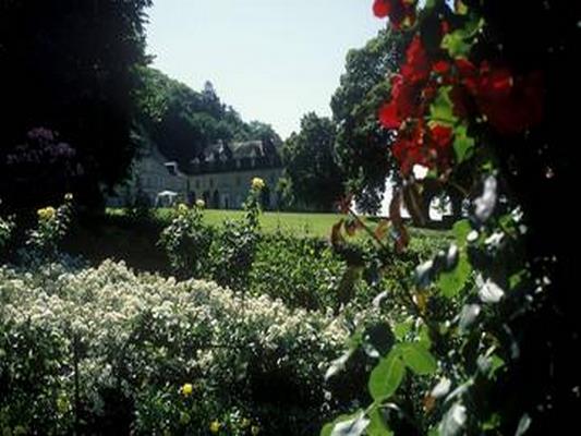 PARC DU CHATEAU ARLAY