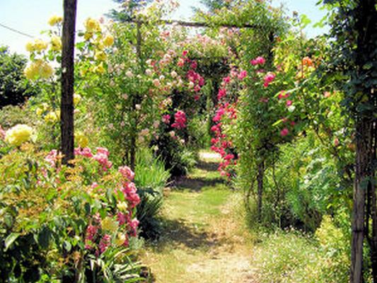 JARDIN DE BOISSONNA