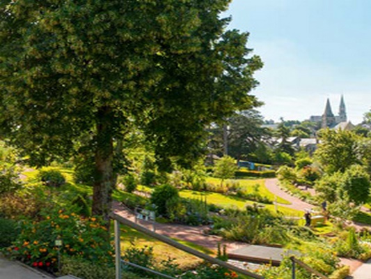 JARDIN CAMIFOLIA