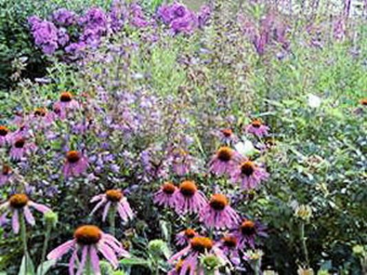 ♥♥♥ JARDIN D EAU DE L' AUBEPRE