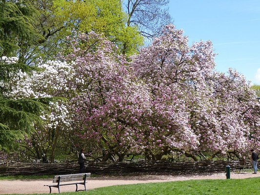 PARC SAINTE-MARIE