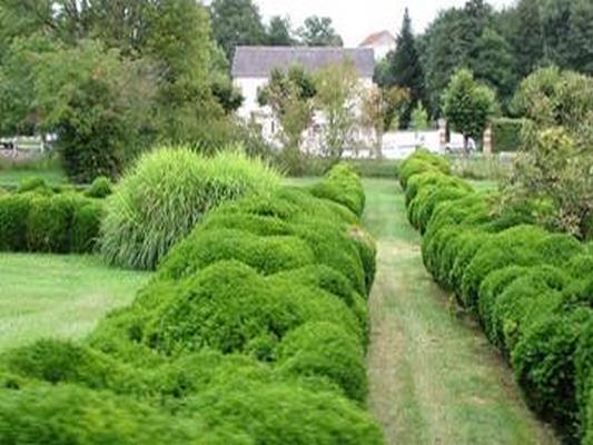 PARC ET JARDIN DU CHATEAU DE CHATILLON-EN-BAZOIS