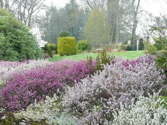JARDIN DE LA CHAUX