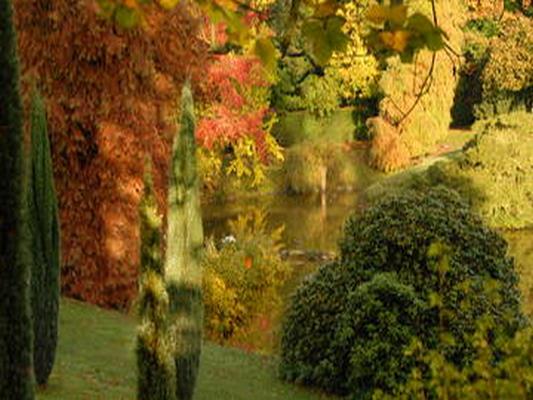 LE PARC ARBORETUM DU MANOIR-AUX-LOUPS