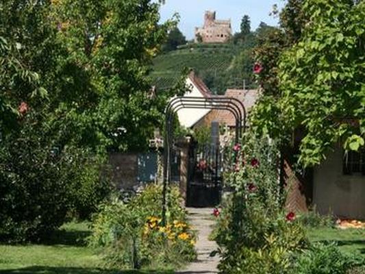 PARC DES RUINES DU CHATEAU DE KINTZHEIM