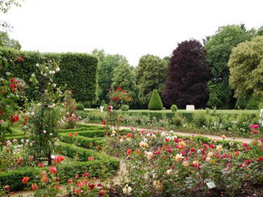 PARC ALFRED WALLACH