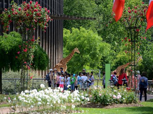 PARC DE LA TETE D’OR