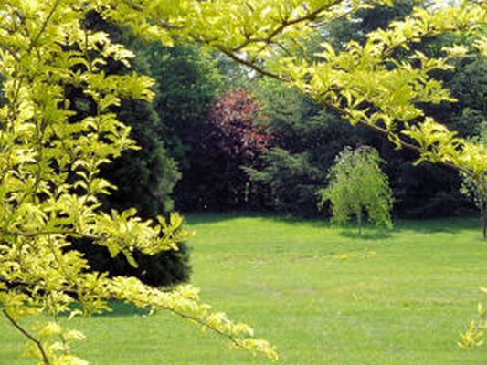 PARC  DU CHATEAU D'OUGE