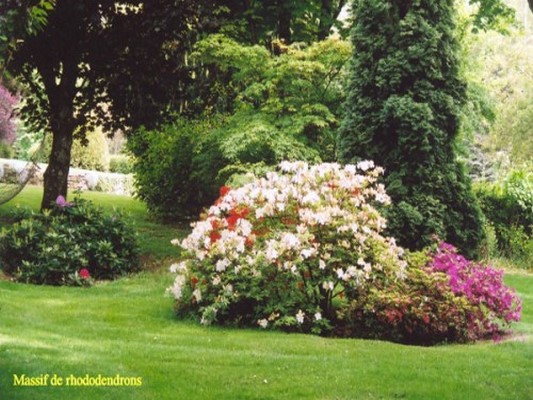 PARC DE L’ETANG