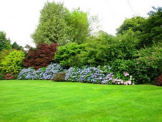 LE JARDIN DU MESNIL