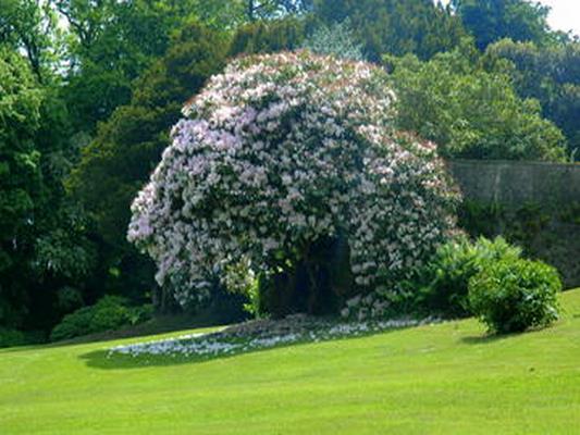 BOIS DES MOUTIERS