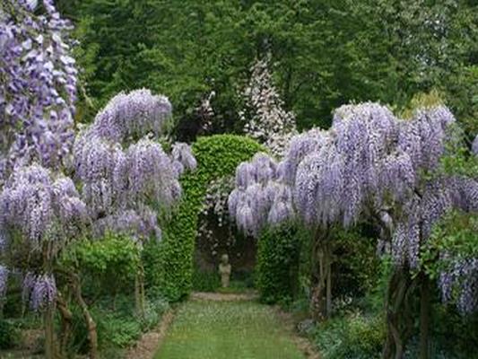 JARDIN DU CHATEAU DE DIGEON