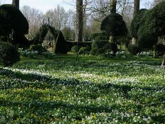 JARDIN DU CHATEAU DE MAIZICOURT