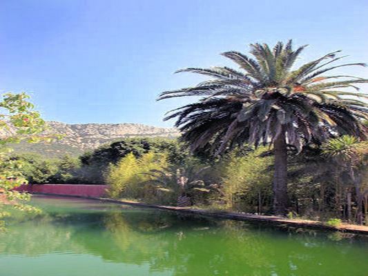 JARDIN DE BAUDOUVIN