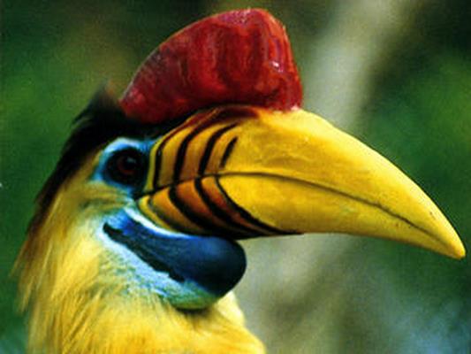 JARDIN ZOOLOGIQUE TROPICAL
