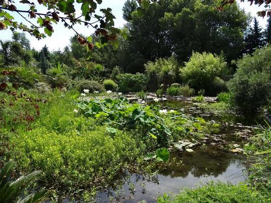 JARDIN DE LA GRAVIERE