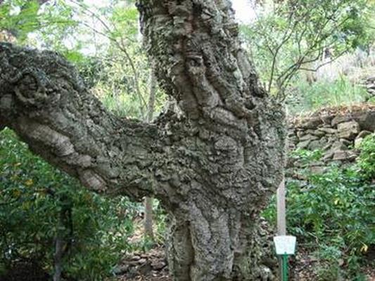 JARDIN GERMAINE L’HARDY-DENONAIN