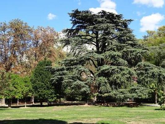 JARDIN DU LAS