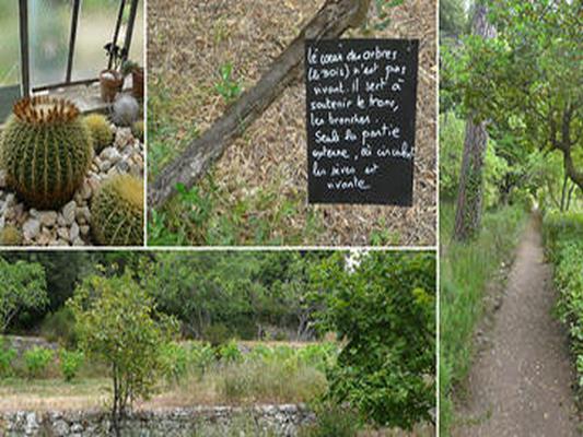 JARDIN D’ELIE ALEXIS