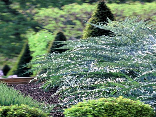 JARDINS CHATEAU VAL JOANIS