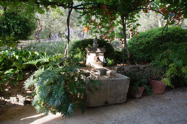 JARDIN DE LA BASSE FONTAINE