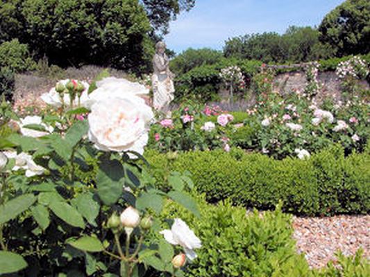 JARDINS DU CHATEAU DE TOUFFOU