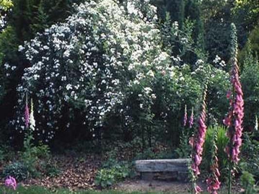 LE JARDIN DE LILIANE