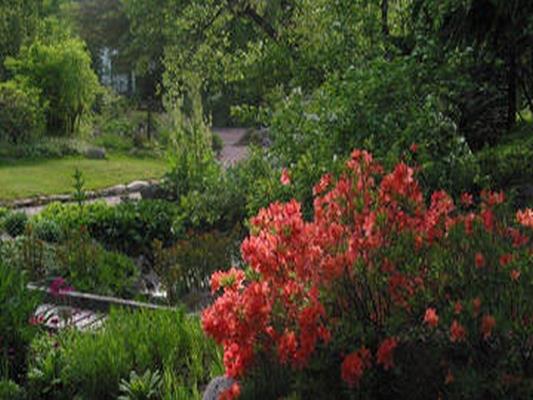 JARDIN D’ALTITUDE DU HAUT-CHITELET
