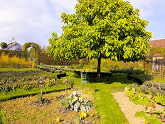 JARDIN DE  LA BORDE