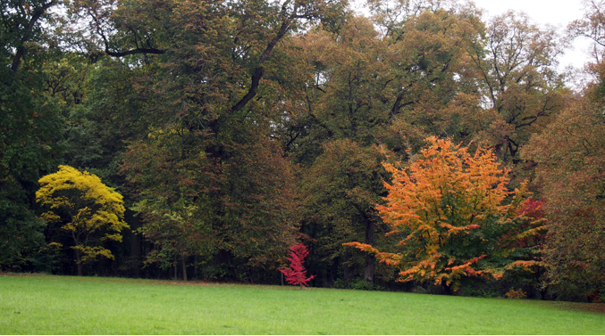 ARBORETUM DE SEGREZ