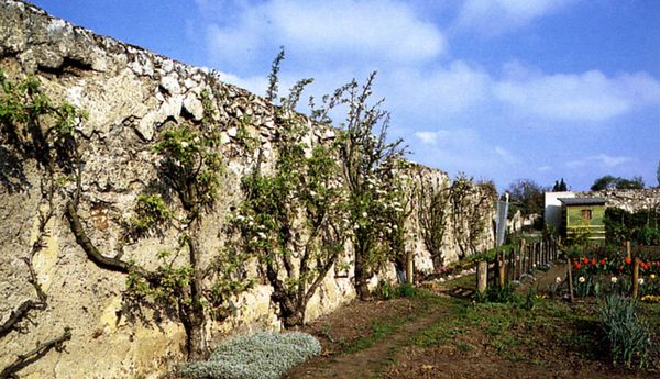 JARDINS DES MURS A PECHES